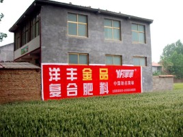 凉山如何让墙体广告展现最大化效果