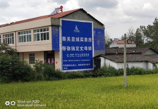 凉山决定墙体广告价格的因素有哪些?
