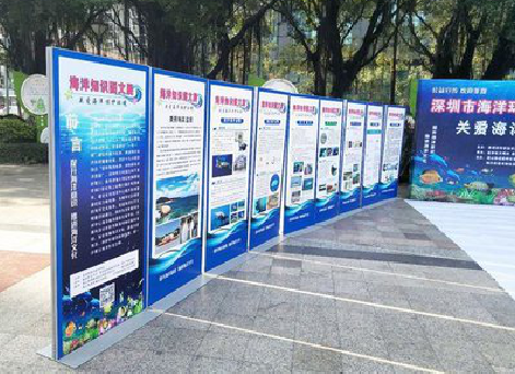 凉山KT板的种类和知识。